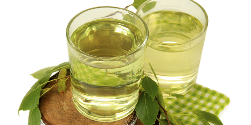 Infusión de hoja de abedul (iStock) Infusión de hoja de abedul (iStock)