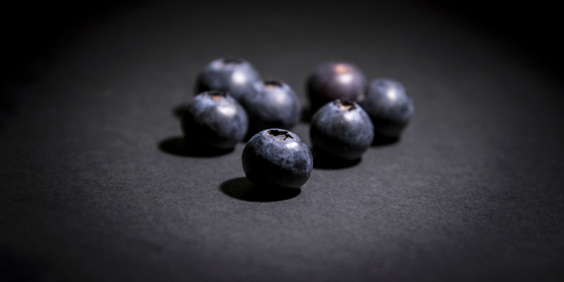 Arándano negro (iStock) Arándano negro (iStock)