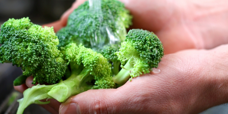 El brécol o brócoli ayuda a mantener el sistema autoinmune (iStock) El brécol o brócoli ayuda a mantener el sistema autoinmune (iStock)