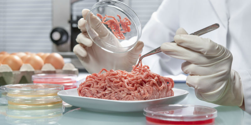Carne procesada en laboratorio (iStock)