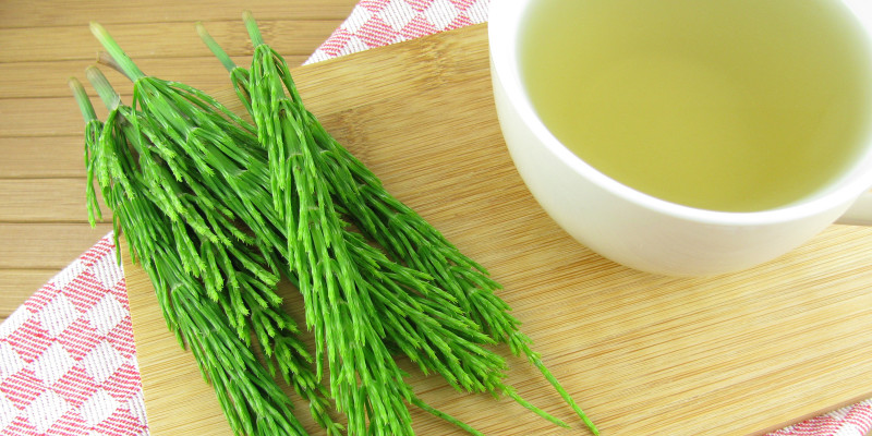 Cola de caballo (iStock) Cola de caballo (iStock)