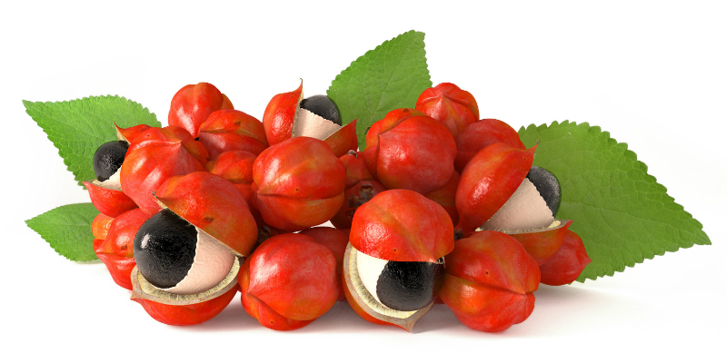Granos de guaraná (iStock) Granos de guaraná (iStock)
