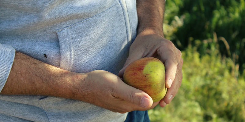 Los veganos generalmente tienen niveles de presión arterial más bajos (Pixabay) Los veganos generalmente tienen niveles de presión arterial más bajos (Pixabay)