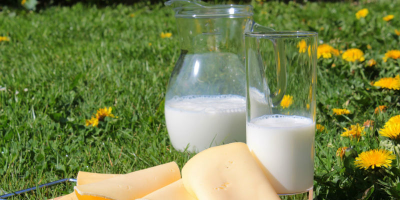 El calcio protege los dientes del ácido que causan las caries (PIxabay)