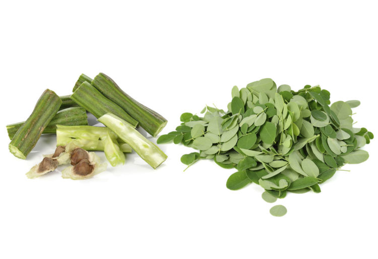 De la planta de la moringa se aprovecha todo, desde la raíz hasta las flores (iStock)De la planta de la moringa se aprovecha todo, desde la raíz hasta las flores (iStock)