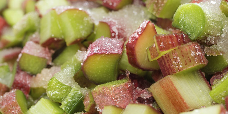 El ruibarbo se puede comer crudo, en infusión, en polvo o como ingrediente de repostería (iStock)