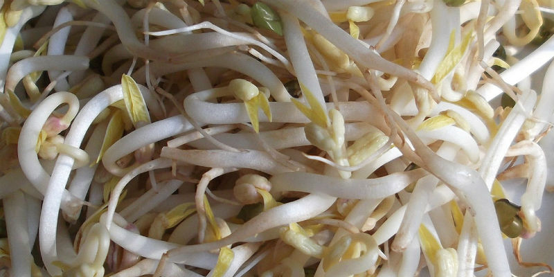 El alto contenido en isoflavonas de la soja hace que suban los niveles de estrógenos y bajen los de testosteron (Pixabay)