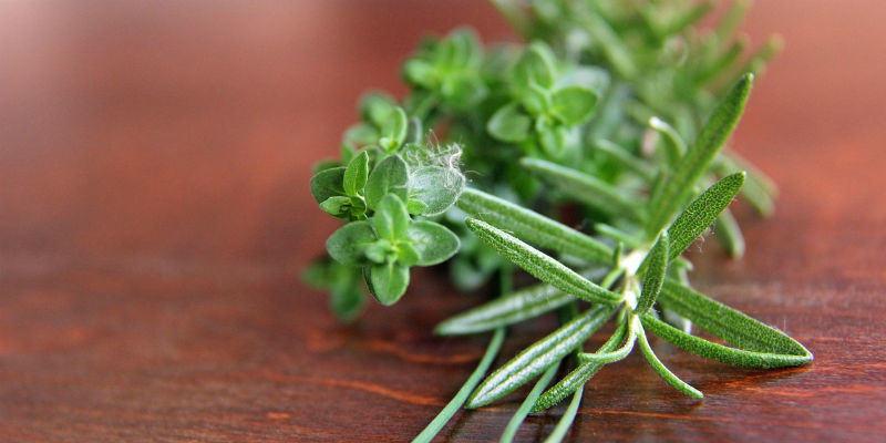 El tomillo es el alimento con más hierro (Pixabay)