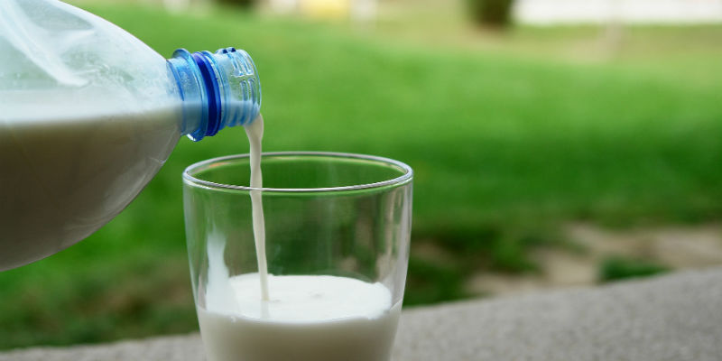 La proteína de la leche tiene un efecto calmante. (Pixabay).