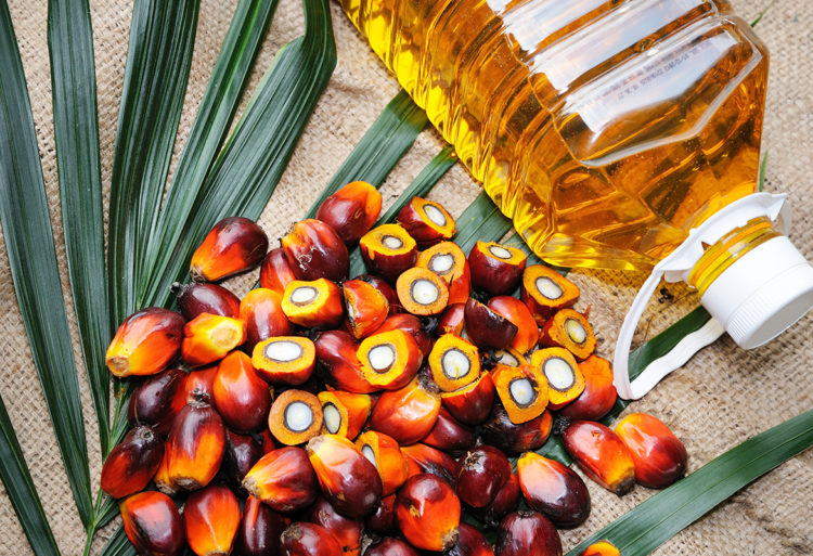 Aceite de palma (iStock)