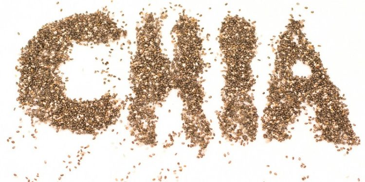 Semillas (Pixabay)