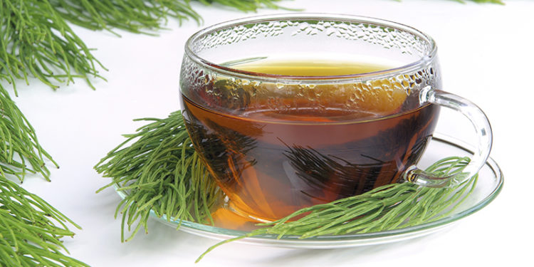 Té de cola de caballo (iStock)