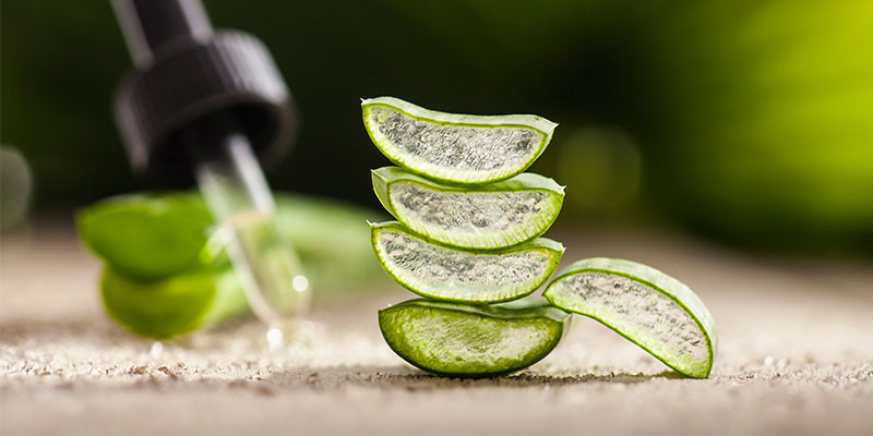 ¡Cómo no! El aloe vera también sirve para evitar la caída de pelo (iStock).