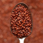 ¿Conoces la Kañiwa? Es el nuevo superalimento del momento Ofrece muchas propiedades (Pexels)