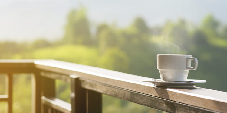 El alimento de moda en muchas dietas (iStock)