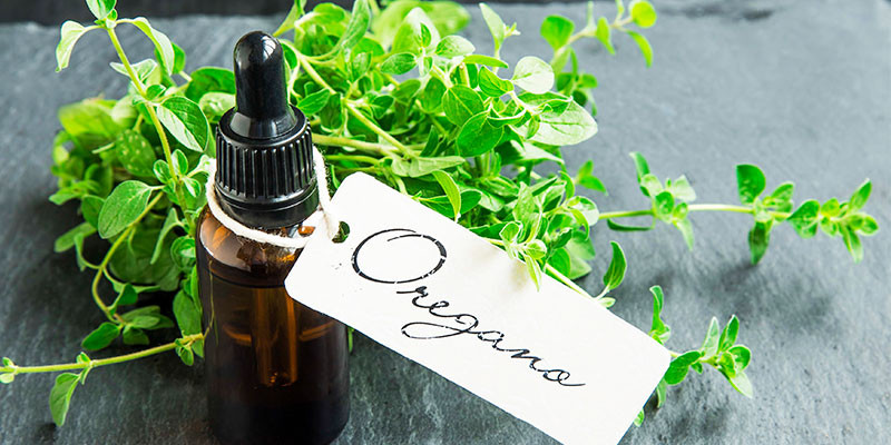 También el aceite de orégano puede eliminar las verrugas (iStock)