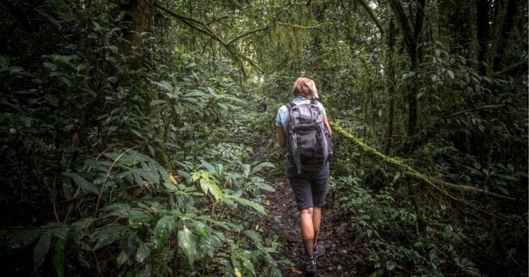 Mujer excursionista (unsplash)