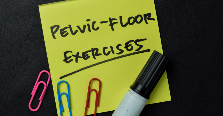 ejercitadores Kegel