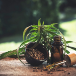 Cómo se utiliza el aceite de CBD Cómo utilizar el CBD